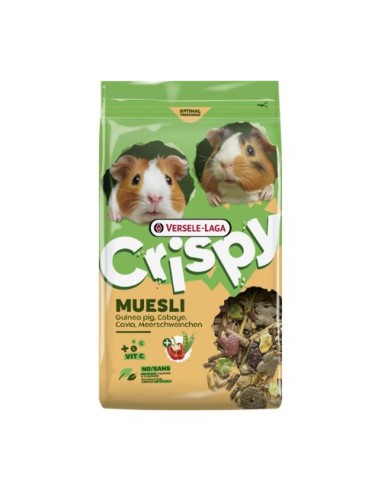 Crispy Muesli Guinea pig