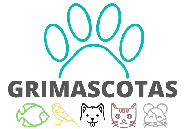 GRIMASCOTAS