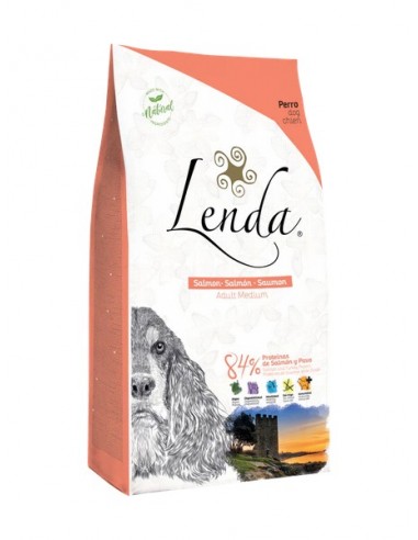 LENDA Salmon adult medium