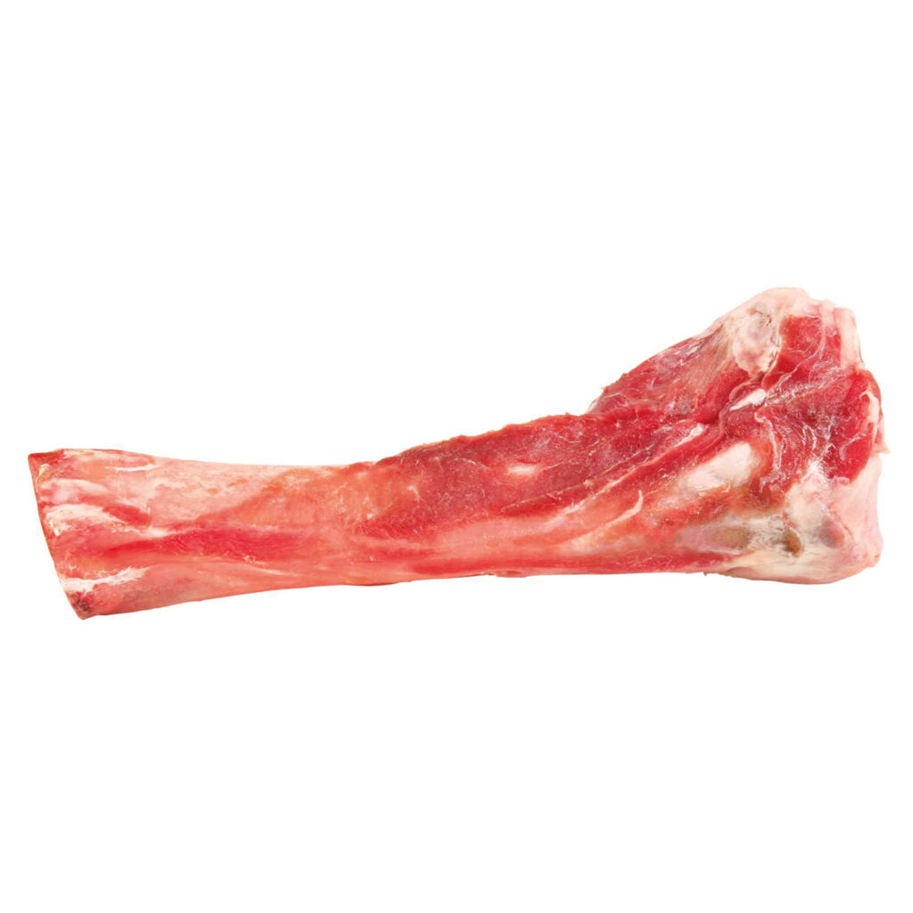 HUESO TIBIA DE CERDO