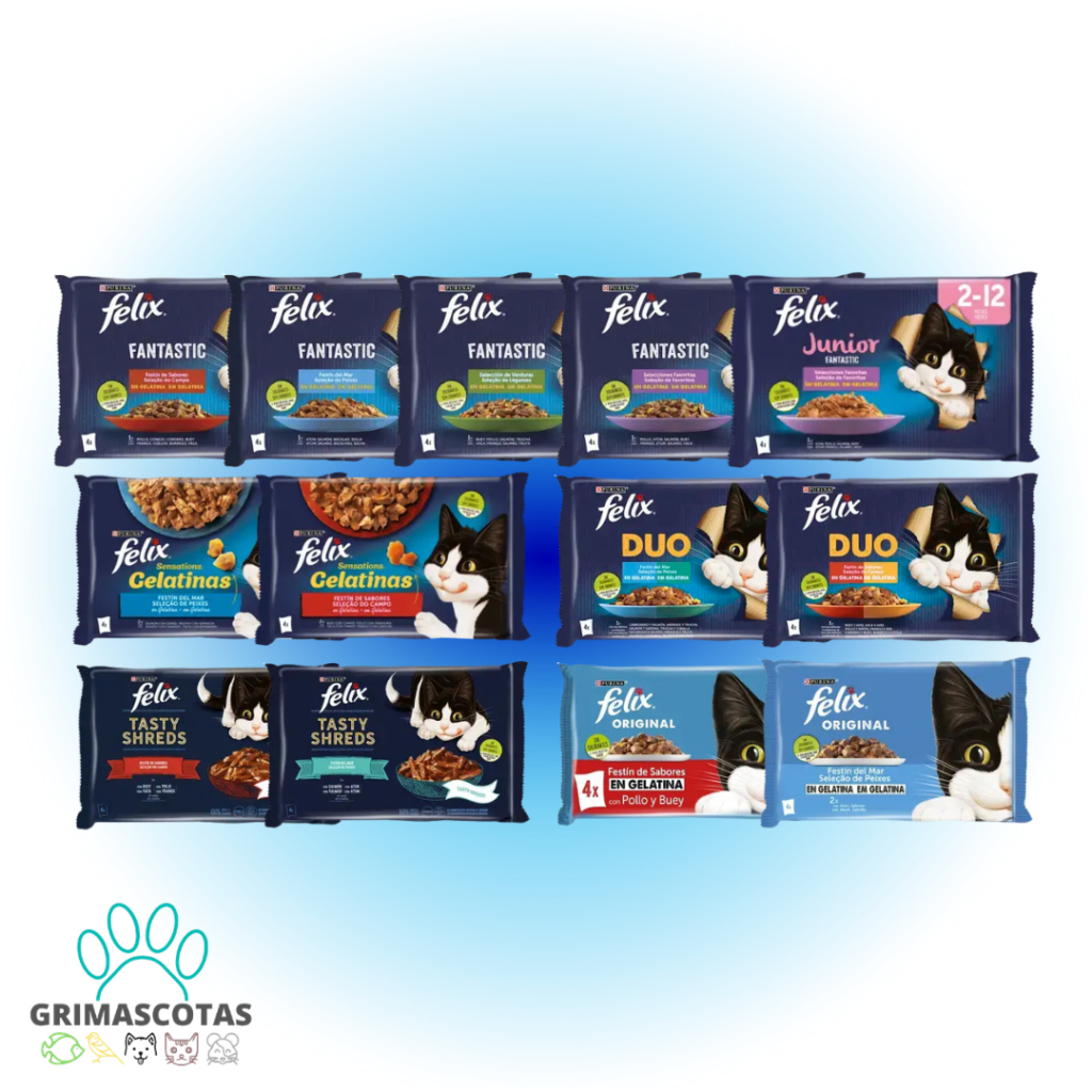 FELIX COMIDA HÚMEDA PARA GATOS