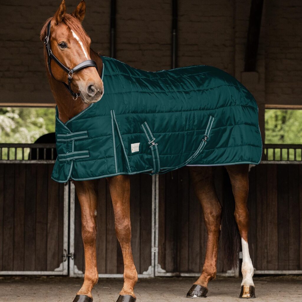 Manta de invierno impermeable para caballos (XXL)