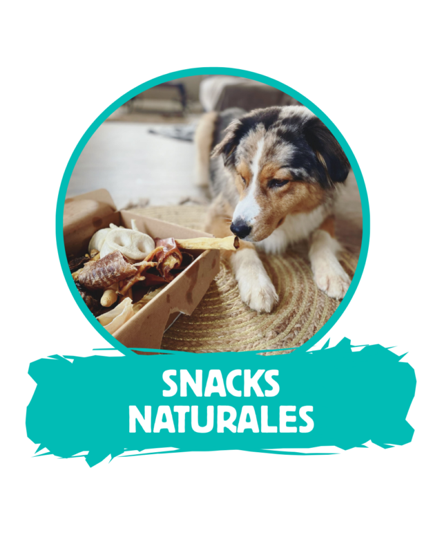 Snack Naturales Perros