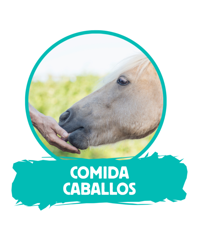 Comida caballos