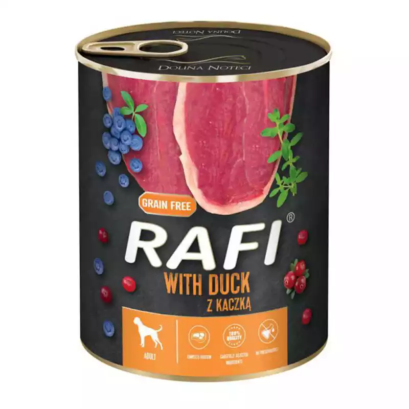 RAFI PATE PATO Y ARÁNDANOS